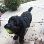 Jimmy Orr - @fishthebigrock1 - Instagram