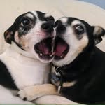 Jim Pollock - @jimmypcamera - Instagram