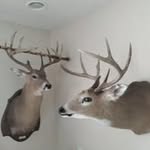 Jimmy Pollock - @pollock4479 - Instagram