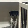 Jim Rector - @3.0_aries - TikTok