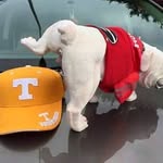 Jimmy Rector - @jimmy.rector - Instagram