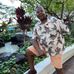 Jimmy Rose - Facebook
