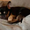 Jimmie Weaver - @jimmie.weaver5 - TikTok