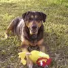 jimmieweaver677 - @jimmieweaver677 - TikTok