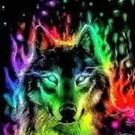 Jimmy Wolfe - @james.wolfe2201 - Instagram