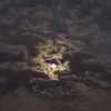 JIMMY29890 - @jimmy_the_apple - TikTok