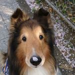 jimmy - @jimmyapple1023 - Instagram