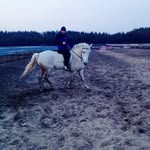 JimmyApple - @jimmyapp5 - Instagram