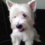 jimmyapple - @jimmyapple4048 - Instagram