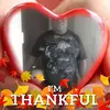 Jimmie Armstead - @jimmiearmstead - TikTok