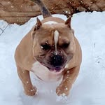 Jimmy Bateman - @j_bateman_612 - Instagram