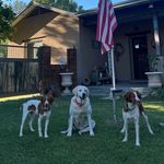 Jimmy Baum - @jimbo.baum - Instagram
