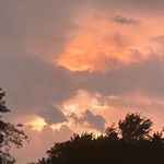 Jimmy Baxter - @whit_n1 - Instagram