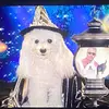 Jimmy - @jimmybertram - TikTok