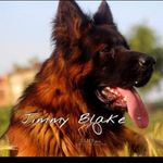 Jimmy Blake - @rafik.mouloudi.10 - Instagram