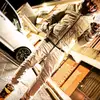 Jimmy Blanco - @jimmy.blanco3 - TikTok