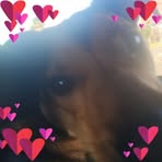 Jimmy Bob - Facebook
