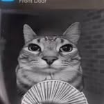 Jimmy Bob - @lylumami - Instagram
