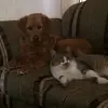 Jimmy_Bowling - @jimmy_bowling - TikTok