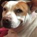 Jim Broughton - Facebook