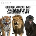 @jimmy.butt - Instagram