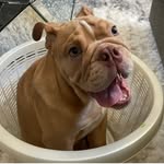 @jimmy_butters2022 - Instagram