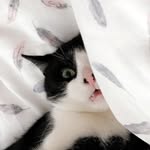 Jimmy Buttons - @jimmy__buttons - Instagram