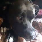 Jimmy Carpenter - Facebook