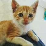 Jimmy - @_jimmy_catto_ - Instagram
