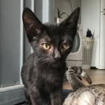 Jimmy - @jimmycatt_ - Instagram