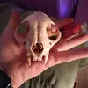 jimmychambers1663 - @jimmychambers1663 - TikTok