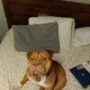 Chase Jimmy - @chase.jimmy - TikTok