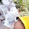 Jimmy Chee - @jimmy.chee16 - TikTok