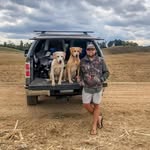 Jimmy Cheers - @jimmy_cheers - Instagram