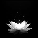Jimmy Chen - Facebook