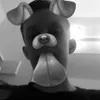 Jimmy cherry - @flipbros2.0 - TikTok
