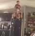 James Chesser - Facebook