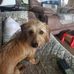 Jimmy Chesser - Facebook