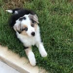 @_jimmychester - Instagram