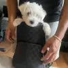 jimmy_chi - @jimmy_chi - TikTok