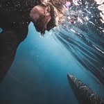 Jimmy Chirillo - @jimmychirillo - Instagram