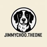 Jimmy Choo - @jimmychoo.theone - Instagram