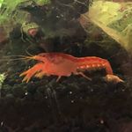 Jimmy Chui - @jonezchui - Instagram