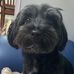 Jimmy Chui - Facebook