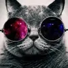 Jimmy Clancy - @jimmy.clancy3 - TikTok