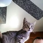 Jimmy Clancy - @clancyjimmy - Instagram