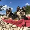 Jimmy Cleaver215 - @jimmy.cleaver215 - TikTok