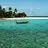 Jimmy Cryer - @jimmy.cryer - TikTok