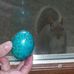 Jimmy the Easter Squirrel - Facebook