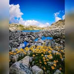 Jimmy Fields - @jimmyfields77 - Instagram